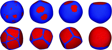 Graphical abstract: Buckling of multicomponent elastic shells with line tension