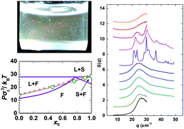 Graphical abstract: Polymer-enforced crystallization of a eutectic binary hard sphere mixture