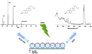 Graphical abstract: Correlation of surface-enhanced Raman spectroscopy and laser desorption-ionization mass spectrometry acquired from silver nanoparticle substrates