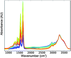 Graphical abstract: Electric field standing wave artefacts in FTIR micro-spectroscopy of biological materials