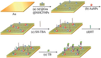 Graphical abstract: Aptamer-based highly sensitive electrochemical detection of thrombin via the amplification of graphene