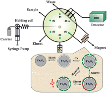Graphical abstract: Automated solid-phase extraction hyphenated to voltammetry for the determination of quercetin using magnetic nanoparticles and sequential injection lab-on-valve approach