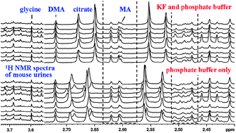 Graphical abstract: Eliminating the dication-induced intersample chemical-shift variations for NMR-based biofluid metabonomic analysis