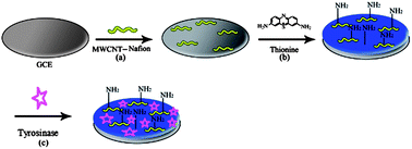 Graphical abstract: A biosensor fabricated by incorporation of a redox mediator into a carbon nanotube/nafion composite for tyrosinase immobilization: detection of matairesinol, an endocrine disruptor