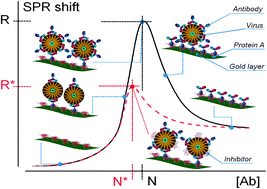 Graphical abstract: A simple SPR-based method for the quantification of the effect of potential virus inhibitors