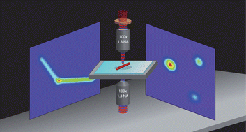 Graphical abstract: Optical detection of single nano-objects by transient absorption microscopy