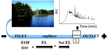 Graphical abstract: An enhanced capillary electrophoresis method for characterizing natural organic matter