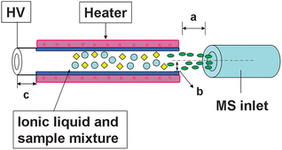 Graphical abstract: Thermal dissociation atmospheric chemical ionization ion trap mass spectrometry with a miniature source for selective trace detection of dimethoate in fruit juices