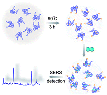 Graphical abstract: Humic acids-based one-step fabrication of SERS substrates for detection of polycyclic aromatic hydrocarbons