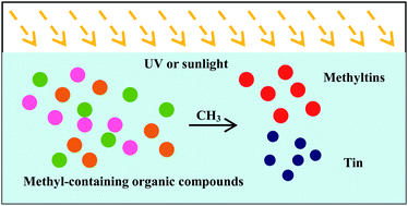 Graphical abstract: Identification of photochemical methylation products of tin(ii) in aqueous solutions using headspace SPME coupled with GC-FPD or GC–MS