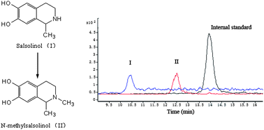 Graphical abstract: Determination of endogenous salsolinol and N-methylsalsolinol in rat brain by LC-ESI-QQQ