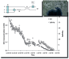 Graphical abstract: Underway determination of dissolved inorganic carbon in estuarine waters by gas-diffusion flow analysis with C4D detection