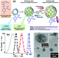 Graphical abstract: A fluorescent double-network-structured hybrid nanogel as embeddable nanoglucometer for intracellular glucometry