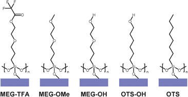 Graphical abstract: Single ether group in a glycol-based ultra-thin layer prevents surface fouling from undiluted serum