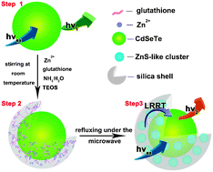 Graphical abstract: Microwave-assisted synthesis of highly luminescent CdSeTe@ZnS–SiO2 quantum dots and their application in the detection of Cu(ii)