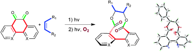 Graphical abstract: A facile and highly atom-economic approach to biaryl-containing medium-ring bislactones