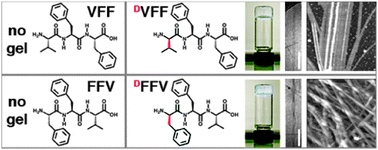 Graphical abstract: Tripeptide self-assembled hydrogels: unexpected twists of chirality