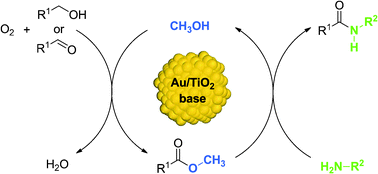 Graphical abstract: One-pot synthesis of amides by aerobic oxidative coupling of alcohols or aldehydes with amines using supported gold and base as catalysts