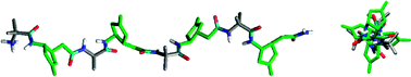 Graphical abstract: Constrained α/γ-peptides: a new stable extended structure in solution without any hydrogen bond and characterized by a four-fold symmetry