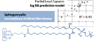 Graphical abstract: Development of the first sphingomyelin biomimetic stationary phase for immobilized artificial membrane (IAM) chromatography