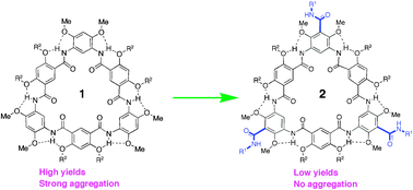Graphical abstract: Non-aggregational aromatic oligoamide macrocycles