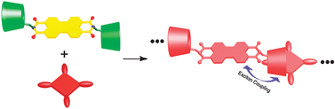 Graphical abstract: Excitonic coupling interactions in the self-assembly of perylene-bridged bis(β-cyclodextrin)s and porphyrin