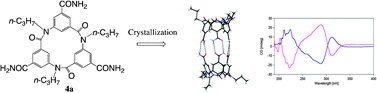 Graphical abstract: Molecular chirality and chiral capsule-type dimer formation of cyclic triamidesvia hydrogen-bonding interactions