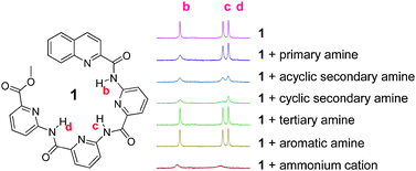 Graphical abstract: Patterned recognition of amines and ammonium ions by a pyridine-based helical oligoamide host