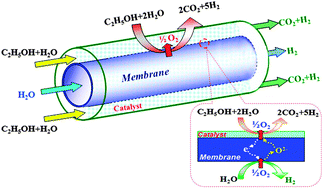 Graphical abstract: Toward highly-effective and sustainable hydrogen production: bio-ethanol oxidative steam reforming coupled with water splitting in a thin tubular membrane reactor