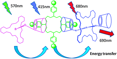 Graphical abstract: Formation and photoinduced processes of a self-assembled subphthalocyanine–porphyrin–phthalocyanine supramolecular complex