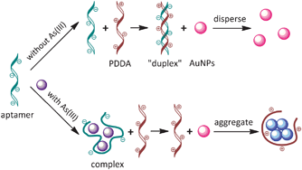 Graphical abstract: Cationic polymers and aptamers mediated aggregation of gold nanoparticles for the colorimetric detection of arsenic(iii) in aqueous solution