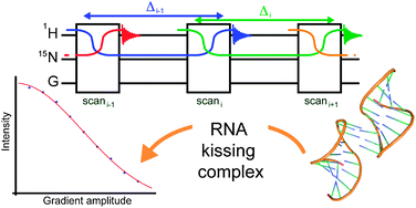 Graphical abstract: Efficient determination of diffusion coefficients by monitoring transport during recovery delays in NMR