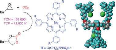 Graphical abstract: A bifunctional catalyst for carbon dioxide fixation: cooperative double activation of epoxides for the synthesis of cyclic carbonates