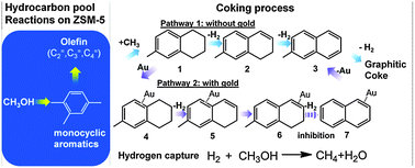 Graphical abstract: Dehydrogenation inhibition on nano-Au/ZSM-5 catalyst: a novel route for anti-coking in methanol to propylene reaction