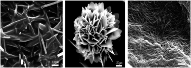 Graphical abstract: Different superstructures formed by Janus-type nucleosides