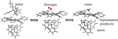 Graphical abstract: Competitive inhibition of a metal-free porphyrin oxygen-reduction catalyst by water