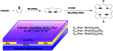 Graphical abstract: Structure–charge transport relationship of 5,15-dialkylated porphyrins