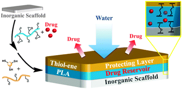Graphical abstract: Biodegradable, multi-layered coatings for controlled release of small molecules