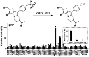 Graphical abstract: A selective Seoul-Fluor-based bioprobe, SfBP, for vaccinia H1-related phosphatase—a dual-specific protein tyrosine phosphatase