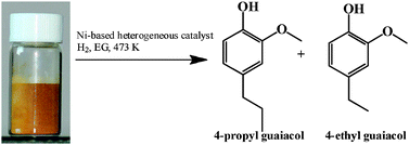 Graphical abstract: Hydrogenolysis of lignosulfonate into phenols over heterogeneous nickel catalysts