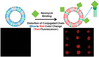 Graphical abstract: Biomimetic detection of aminoglycosidic antibiotics using polydiacetylene–phospholipids supramolecules