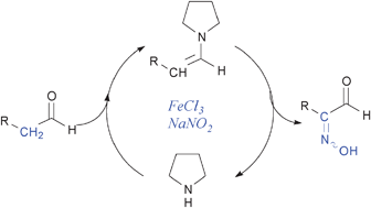 Graphical abstract: A remarkably simple α-oximation of aldehydes via organo-SOMO catalysis