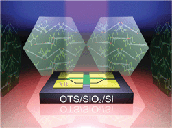 Graphical abstract: High performance n-type single crystalline transistors of naphthalene bis(dicarboximide) and their anisotropic transport in crystals