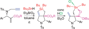 Graphical abstract: Unexpected formation of stannolanes and trigonal bipyramidal tin complexes by radical cyclization reaction