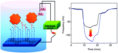 Graphical abstract: Tunable, dynamic and electrically stimulated lectin–carbohydrate recognition on a glycan-grafted conjugated polymer