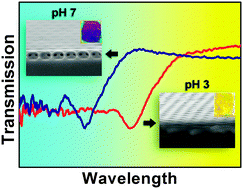 Graphical abstract: Stimuli-responsive 2D polyelectrolyte photonic crystals for optically encoded pH sensing