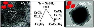 Graphical abstract: Syntheses and magnetic properties of Cr2Te3 and CuCr2Te4 nanocrystals