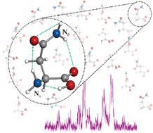 Graphical abstract: The conformational locking of asparagine