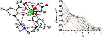 Graphical abstract: Field and dilution effects on the slow relaxation of a luminescent DyO9 low-symmetry single-ion magnet