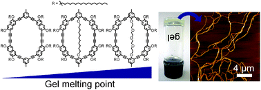 Graphical abstract: Gels of shape-persistent macrocycles: the role of the interior